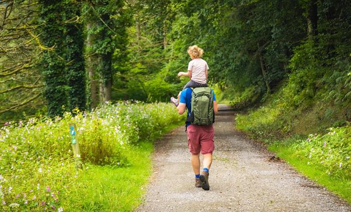 Walking in Afan Forest Park